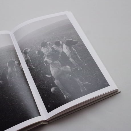 Nicola Nunziata / Album