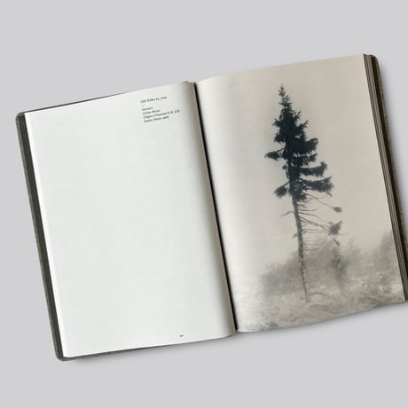 Nicolai Howalt  / OLD TJIKKO[SECOND EDITION]