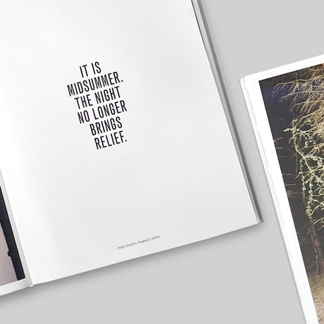 Peter Pflügler / NOW IS NOT THE RIGHT TIME