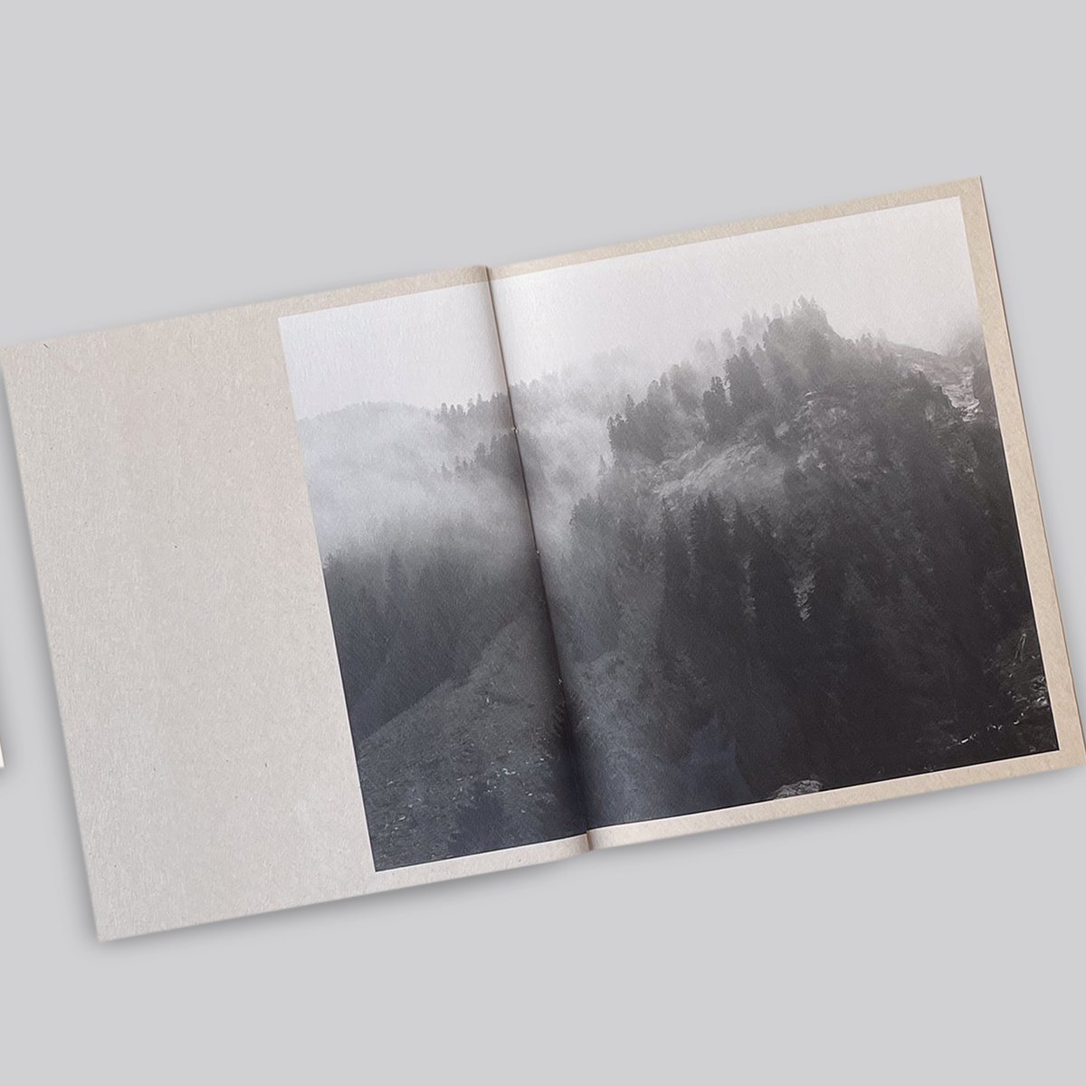 Awoiska Van Der Molen / The Living Mountain | POST