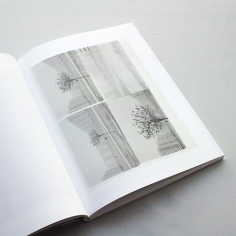 Boris Mikhailov / Series of four