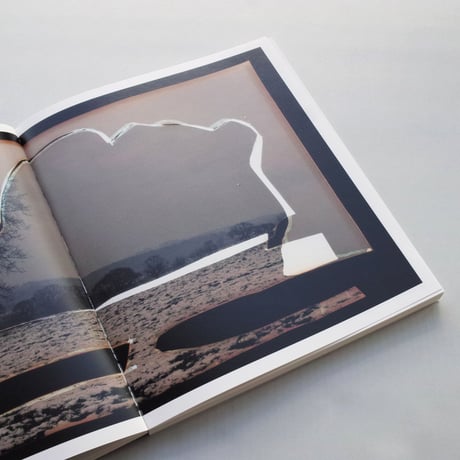 Dafna Talmor / Constructed Landscapes