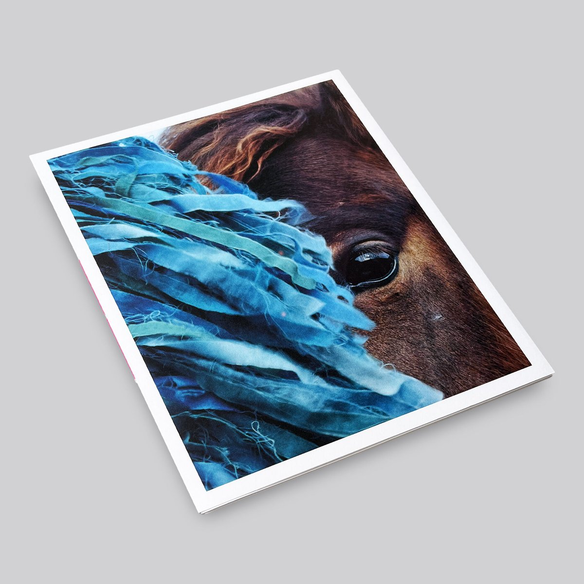 Charlotte Dumas / Ao (Blue) | POST