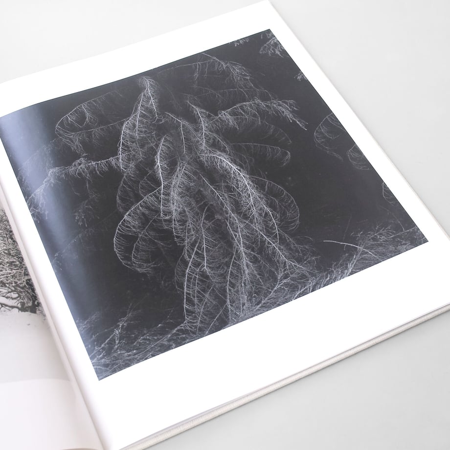 62874b1cd17513073d199388