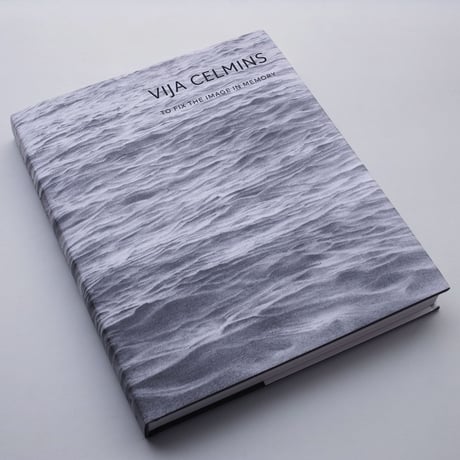 Vija Celmins / To Fix the Image in Memory