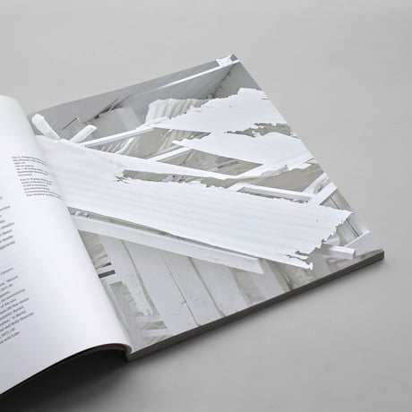 Rachel Whiteread / Internal Objects