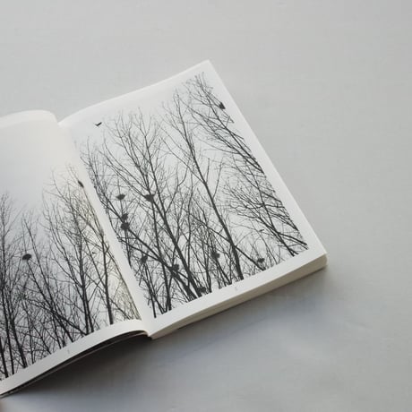 Hans Bol / God's Allies