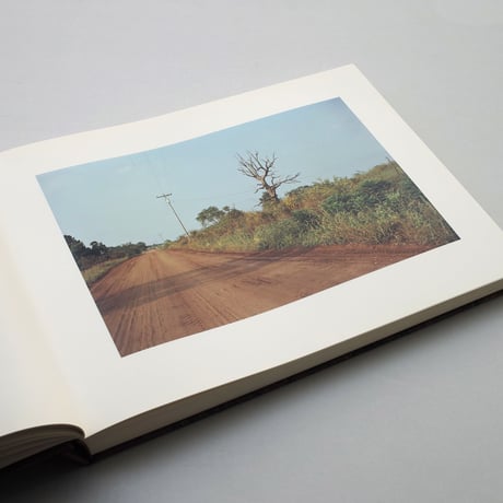 William Eggleston / Election Eve