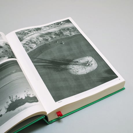 Batia Suter/ Parallel Encyclopedia #2