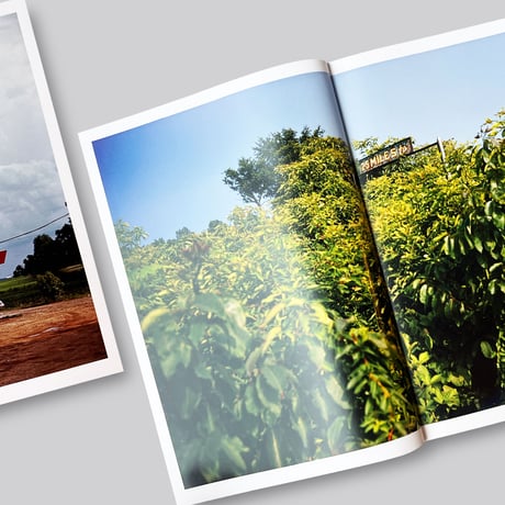 William Eggleston / The Outlands: Selected Works