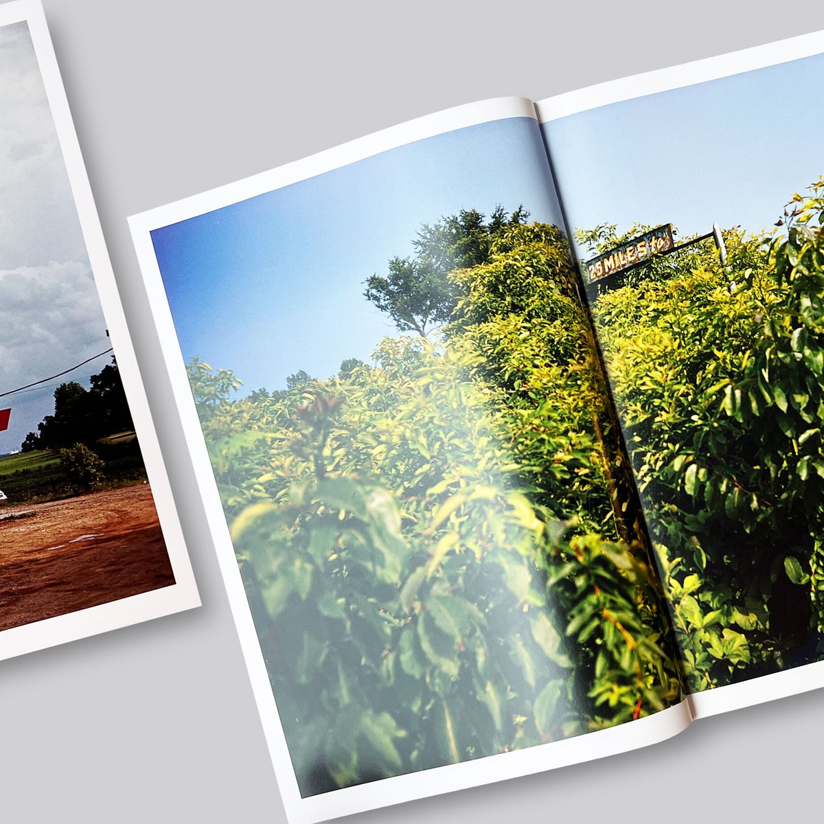 William Eggleston / The Outlands: Selected Work