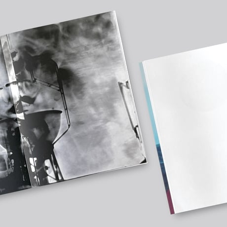 Takashi Homma / THE NARCISSISTIC CITY