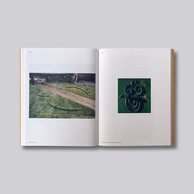 Ana Mendieta / Search for Origin | POST