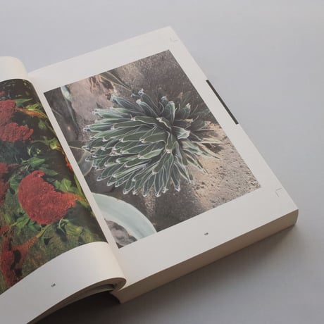 Reading the American Landscape