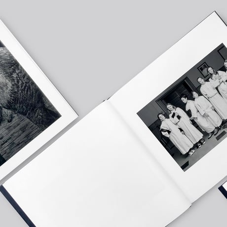 【サイン入り】Alessandra Sanguinetti  / Some Say Ice