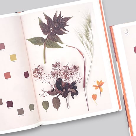 Chromatic Herbarium / Massimo Gardone, Alessandra Muran