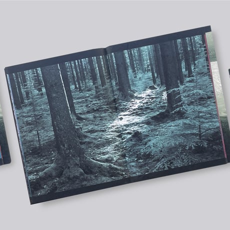 Martine Stig  / NEAR