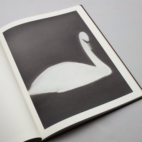 Mats Gustafson / SWAN  Deluxe Edition (with Watercolor Painting)