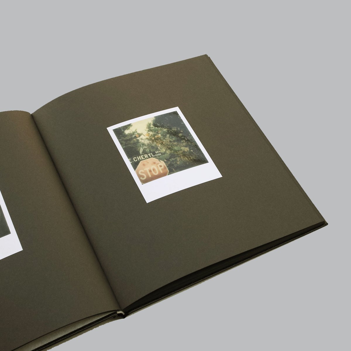 洋書 William Eggleston Polaroid SX-70 fit=scale-down,w=1200