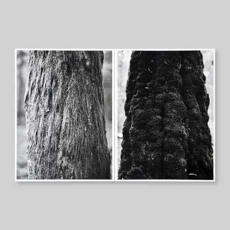Bas Ketelaars / Edges of Landscape