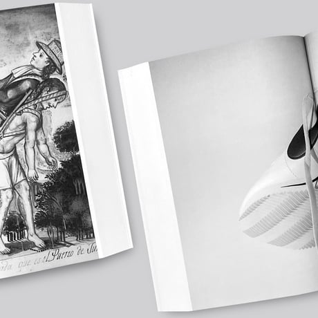 Aleix Plademunt / Matter