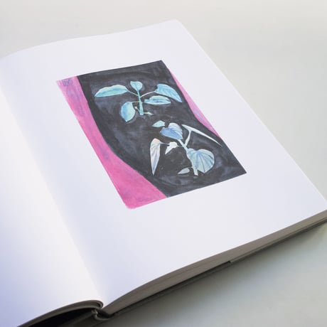Ellsworth Kelly / Plant Drawings