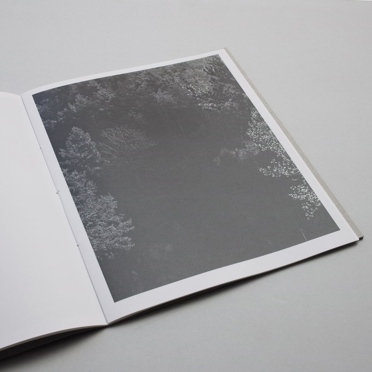 アート・デザイン・音楽 Awoiska Van Der Molen Blanco Blanco / Awoiska Van Der Molen | 本まるさんかくしかく