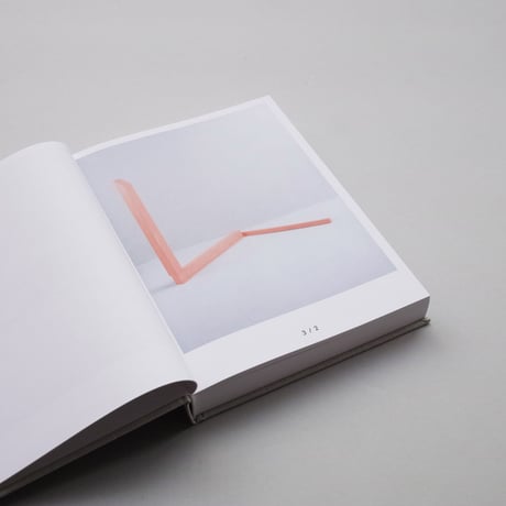 Fleur van Dodewaard / 131 Variations