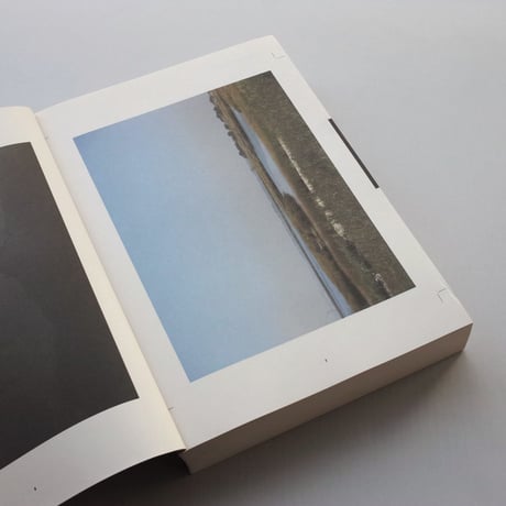 Reading the American Landscape