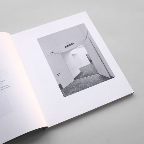 Koenraad Dedobbeleer / Compensating Transient Pleasurable Excitations