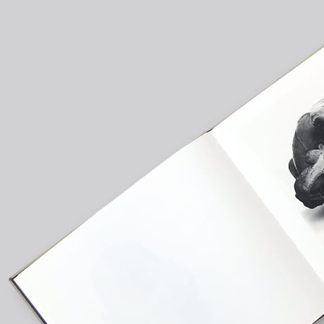 Irving Penn / Cranium Architecture