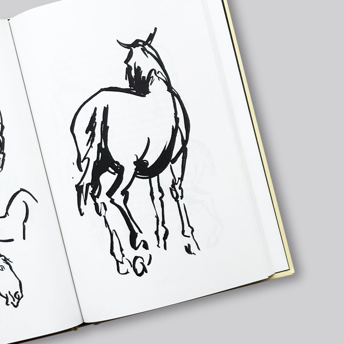 Alexander Calder / Animal Sketching | POST