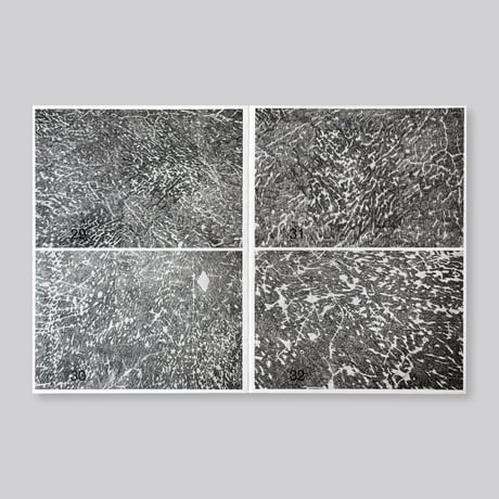 Bas Ketelaars / Edges of Landscape