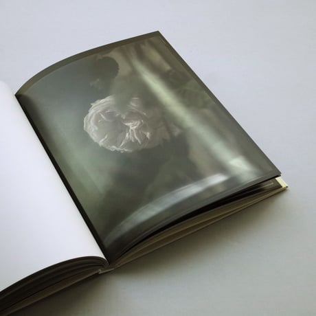 Judith Jockel / You Breathe from a Garden in Your Neck