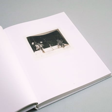 Laura Letinsky / TIME’S ASSIGNATION, THE POLAROIDS