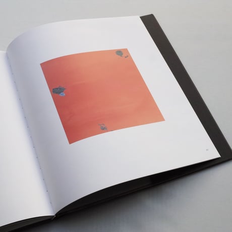 Helen Frankenthaler / Sea Change: A Decade of Paintings, 1974–1983 Catalogue