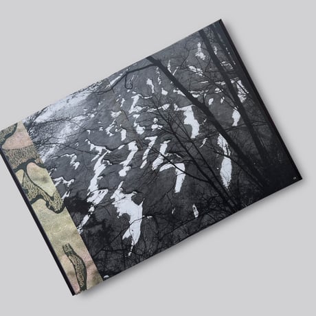 Timothy Prus / Gone