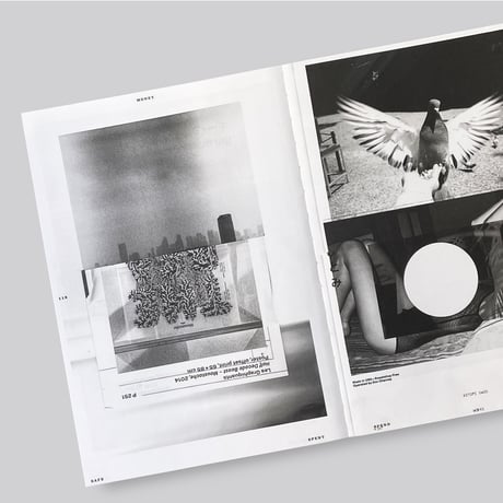 Lars Harmsen / Collision