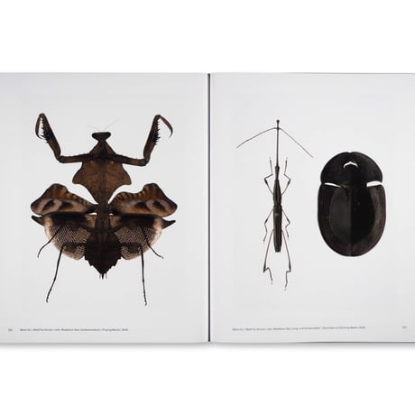 Hans Hansen / Still Life – Photographs 1957– 2017
