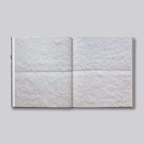 Piero Manzoni / Achrome