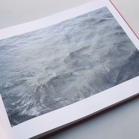 Roni Horn / Dictionary of Water