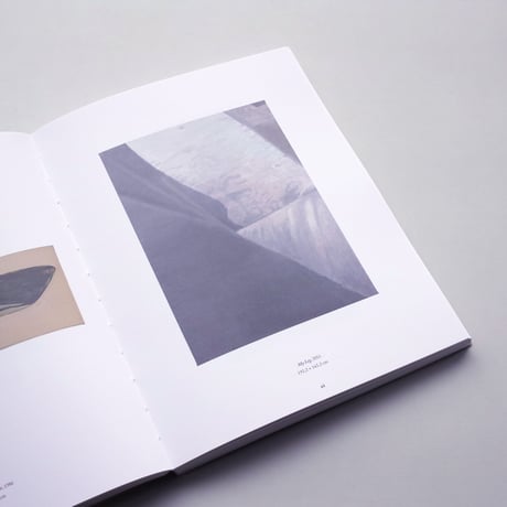 Luc Tuymans / La Pelle