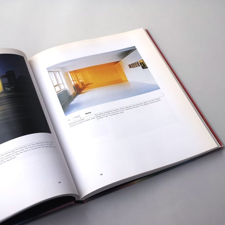 Olafur Eliasson / Your Lighthouse Works with Light 1991-2004