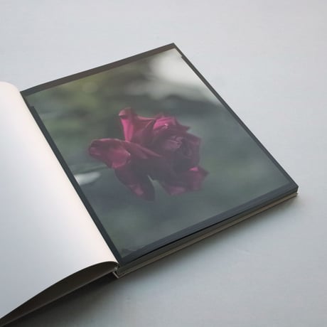 Judith Jockel / You Breathe from a Garden in Your Neck