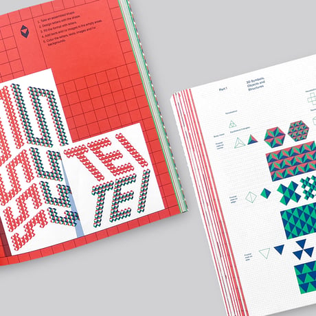 Martin Lorenz / Flexible Visual Systems (4th ed)