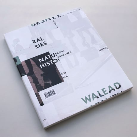 Walead Beshty / Natural Histories