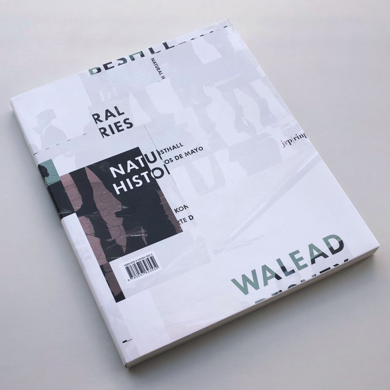 Walead Beshty Natural Histories 作品集 Walead Beshty / Natural Histories | POST