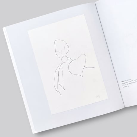 Ellsworth Kelly / Plant Lithographs