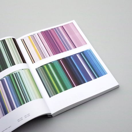 Barry van der Rijt / Exquisite Errors: DMCO-I