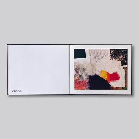 Sterling Ruby / Widw